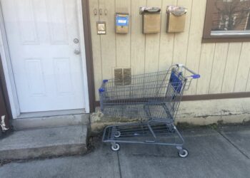 Shopping Cart Sad :(