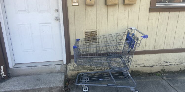 Shopping Cart Sad :(